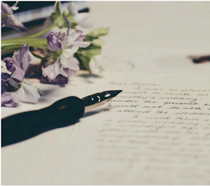 Patron Wills place picture